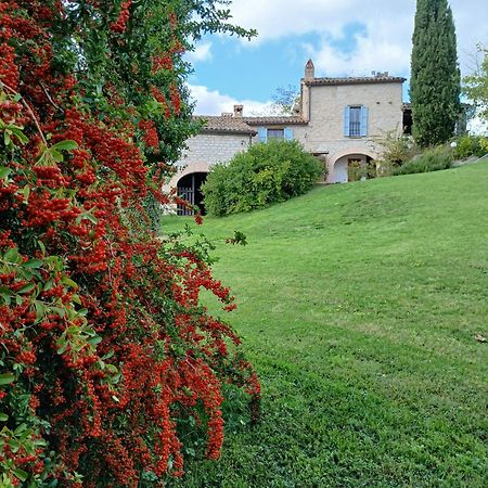 Agriturismo Del Frontino - Lo Studio Аккуаланья Екстер'єр фото