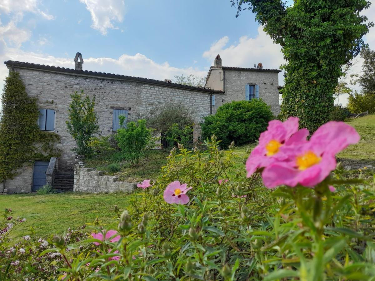 Agriturismo Del Frontino - Lo Studio Аккуаланья Екстер'єр фото