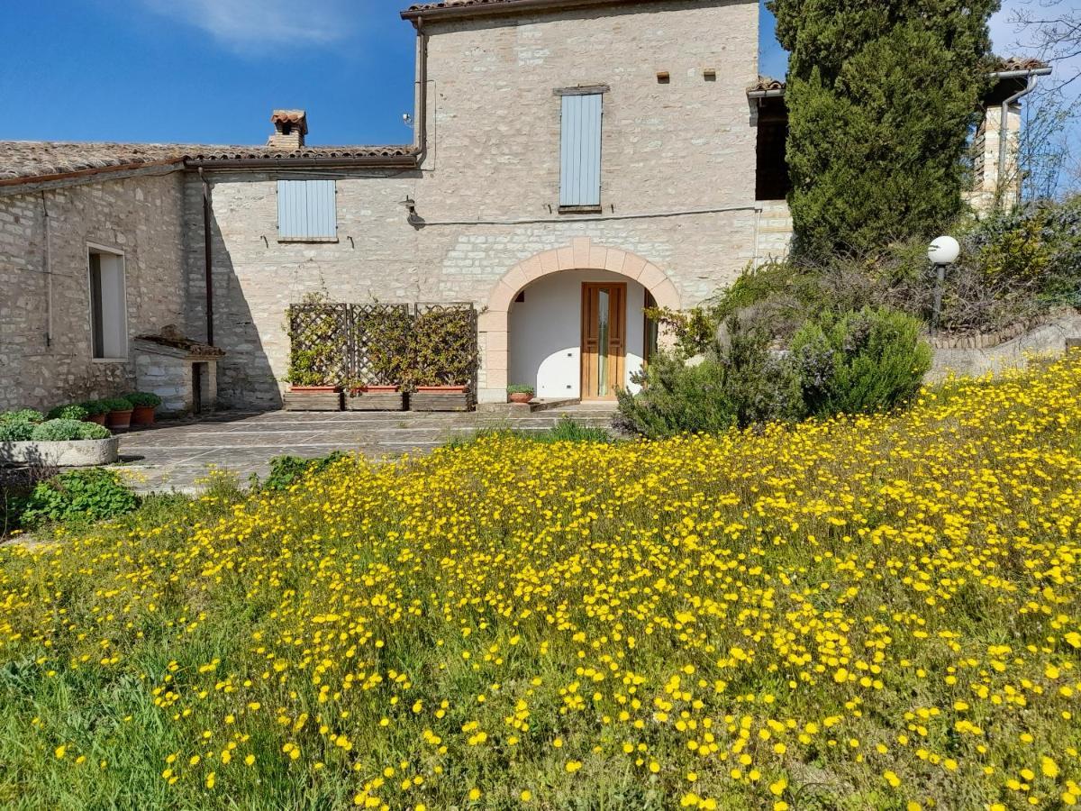 Agriturismo Del Frontino - Lo Studio Аккуаланья Екстер'єр фото
