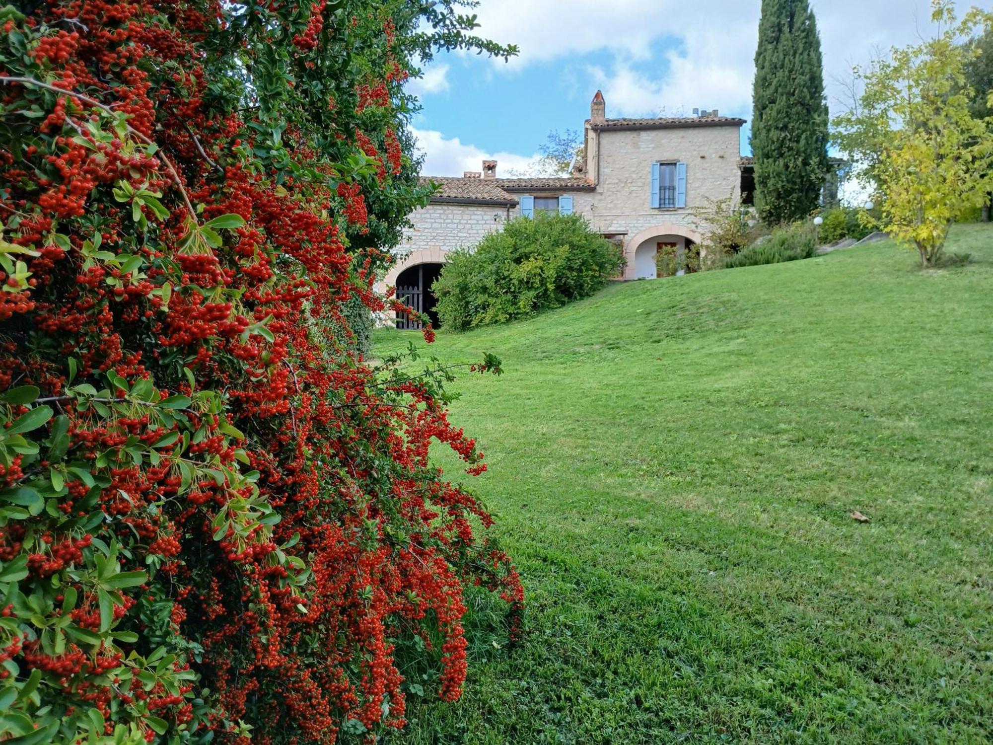 Agriturismo Del Frontino - Lo Studio Аккуаланья Екстер'єр фото